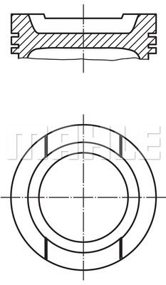 WILMINK GROUP Männät WG1104446